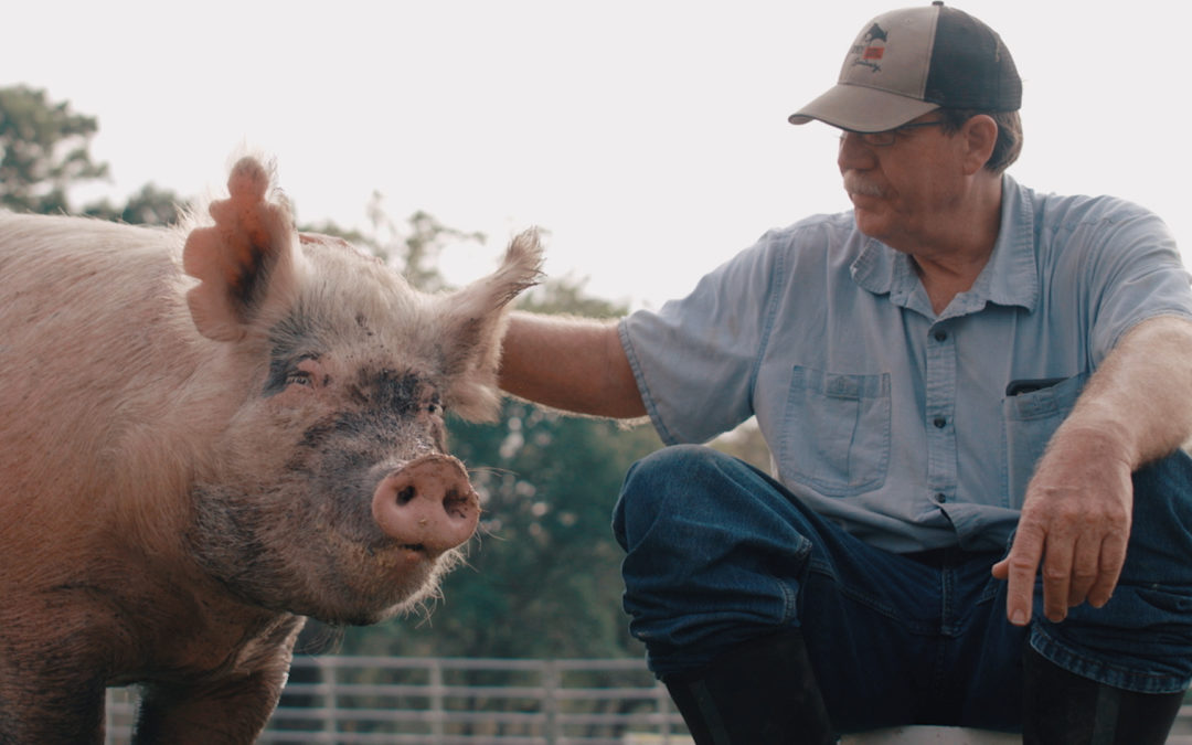 Meat Free Week | Commercial