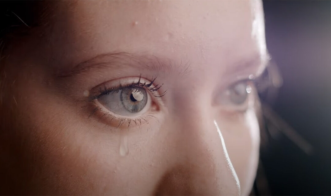 Octagon | Commercial
